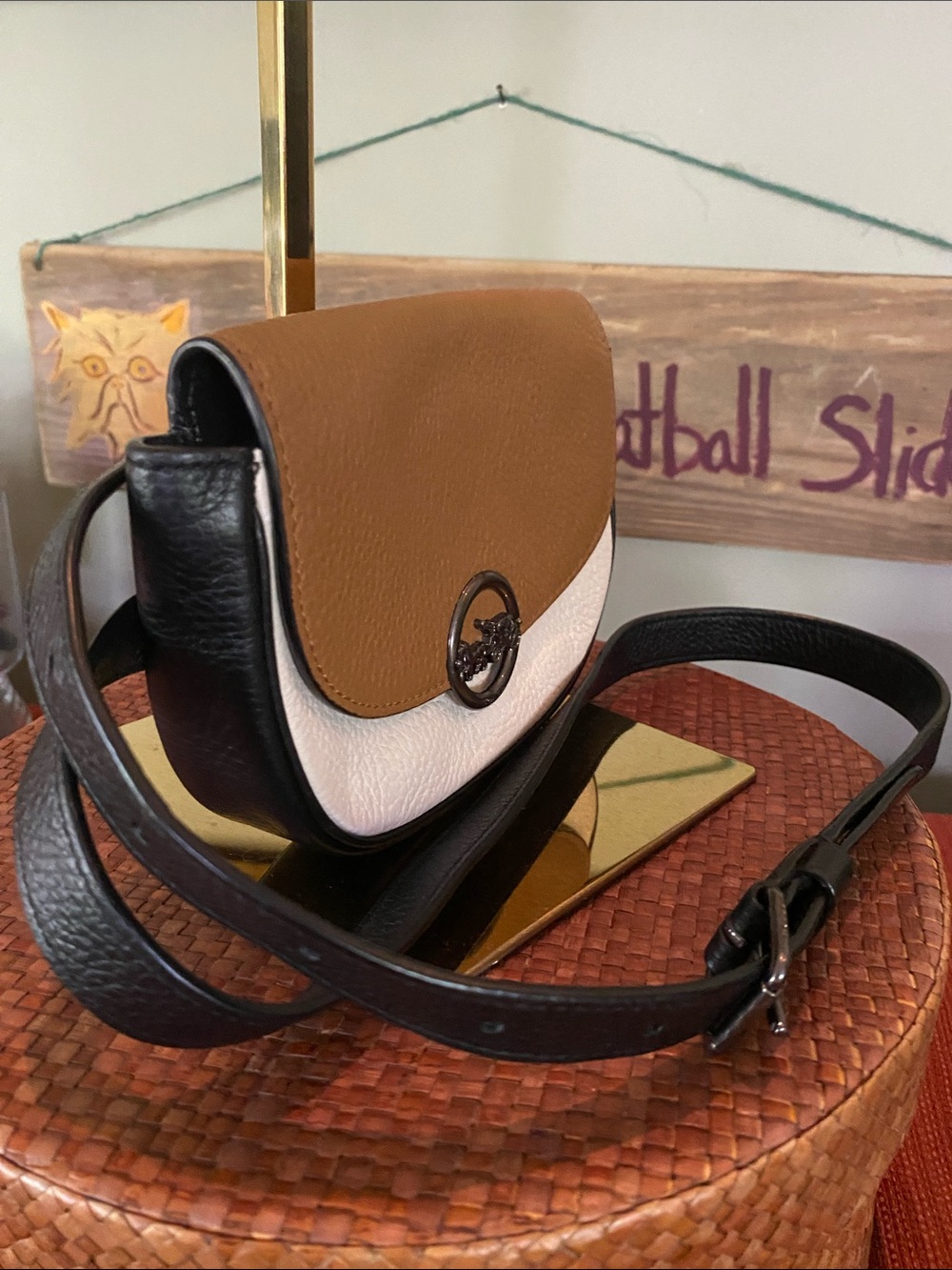 Coach Jade Mini Belt Sling Bag in Colorblock - Picture 3 of 10
